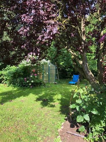Un jardin luxuriant avec une verdure éclatante, des fleurs épanouies, une petite serre, une chaise de jardin bleue et un grand arbre offrant de l'ombre lors d'une journée ensoleillée. Atmosphère paisible.