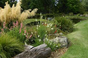 A lush garden scene featuring ornamental grasses, blooming wildflowers, aged logs, and large rocks beside a tranquil pond, surrounded by trees and well-manicured green grass.