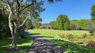 A winding path leads through a lush, green park with large trees, a pond, and ducks, toward a charming house under a bright, clear blue sky.