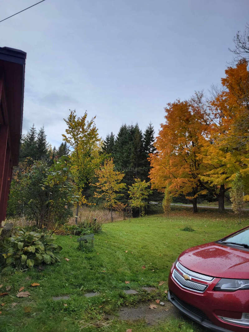 Help us with our renovation project in the beautiful countryside of