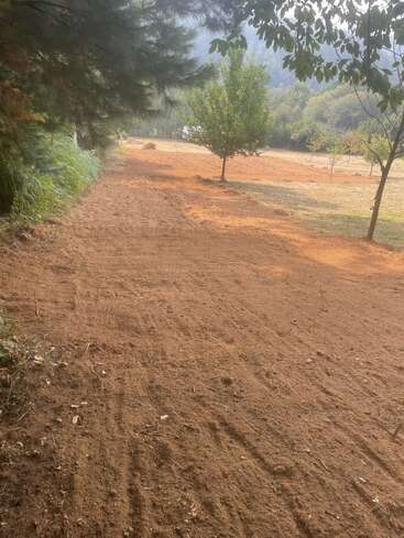 Ein frisch gepflügter Feldweg führt durch ein Waldgebiet, gesäumt von grünen Bäumen, mit offenen Feldern, vereinzelten jungen Bäumen und Hügeln im Hintergrund.
