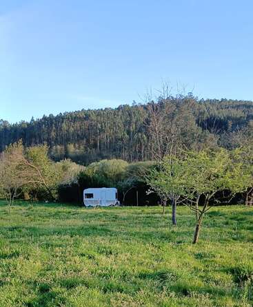 Ein weißer Wohnwagen steht auf einer Wiese, umgeben von Bäumen. Im Hintergrund bedeckt ein dichter Wald einen Hang unter einem strahlend blauen Himmel.