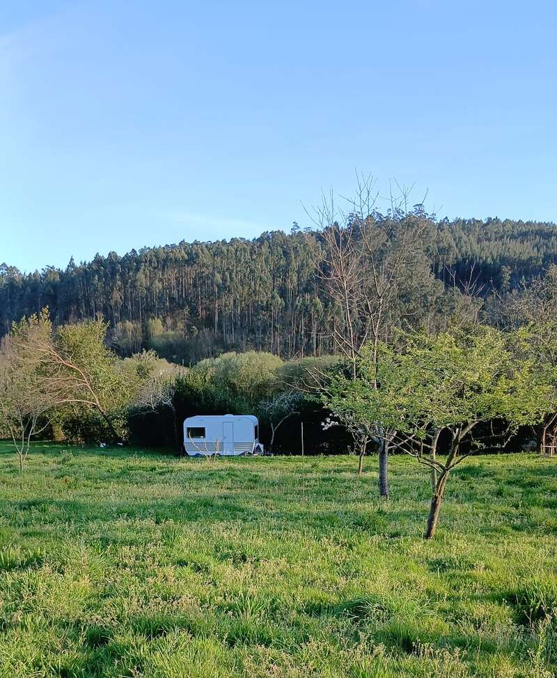 Ein weißer Wohnwagen steht auf einer Wiese, umgeben von Bäumen. Im Hintergrund bedeckt ein dichter Wald einen Hang unter einem strahlend blauen Himmel.