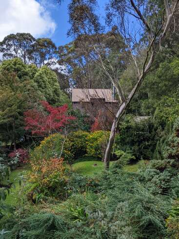 Una pintoresca casa se asoma entre frondosos y coloridos árboles y arbustos. El jardín rebosa verdor, flores amarillas y follaje de un rojo vibrante bajo un cielo azul brillante.