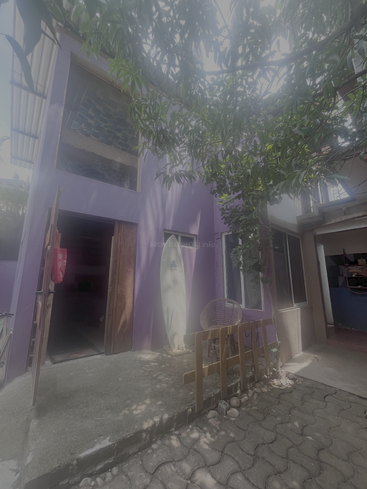 A purple-painted house with large windows, a wooden chair, surfboard, open door, shaded by leafy branches. Sunlight gently filters through the trees above. Quiet atmosphere.