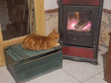Um gato ruivo relaxa em um baú de madeira verde perto de uma lareira aconchegante, aproveitando o calor. O ambiente tem um toque rústico com detalhes em pedra e madeira.
