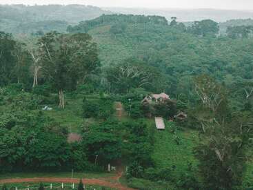 A serene green landscape featuring dense forest, rolling hills, tall trees, and a few small houses scattered amidst lush vegetation, with a dirt road winding through.