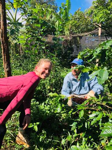 Two people are harvesting berries in a lush, green garden. One person smiles at the camera while the other crouches, holding a basket of fruit.