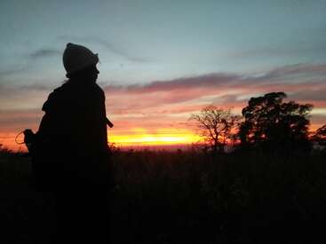 The image depicts a person standing in silhouette against a vibrant sunset, with trees and grass in the foreground, set against a blue sky with pink and yellow clouds.