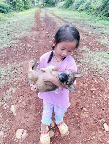 A young girl in a pink shirt and light pants stands on a dirt path, gently holding a fluffy puppy in her arms, outdoors, countryside background.