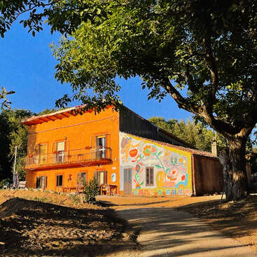 Um edifício laranja está sob árvores frondosas, com um mural colorido em uma parede. O sol brilha intensamente, lançando luz quente e sombras profundas na cena.
