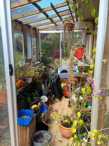 A small glass greenhouse filled with various potted plants, gardening tools, supplies, and hanging baskets. Sunlight streams in, creating a vibrant, lush, and slightly cluttered space.