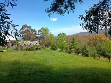 A peaceful rural landscape with a green grassy field, scattered trees, a small shed, and distant hills under a bright blue sky with fluffy clouds.