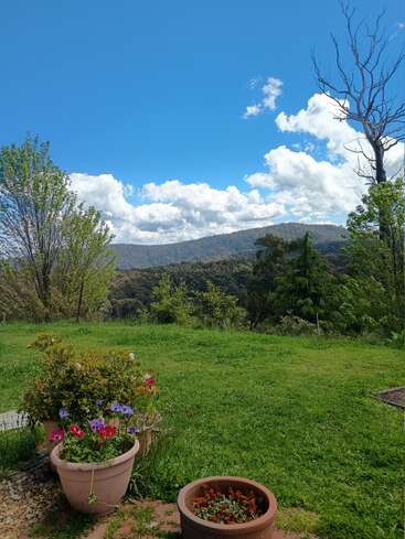 Eine friedliche Gartenszene mit Topfblumen, sattgrünem Gras, bewaldeten Hügeln in der Ferne, flauschigen weißen Wolken und einem strahlend blauen Himmel unter der Mittagssonne.