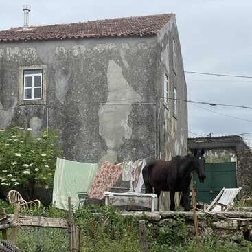 Um cavalo preto está parado num pátio rústico ao lado de uma velha casa de pedra. Há roupa pendurada no varal, rodeada por vegetação e móveis de jardim espalhados pelo local.