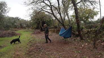 A man walks near a blue hammock tied between trees in a quiet, wooded area. A black dog sniffs the ground, exploring the surroundings peacefully.