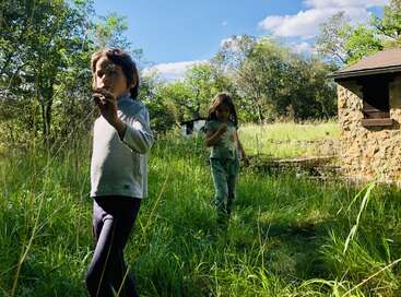 Two children walk through tall green grass, blowing dandelions in a sunlit, peaceful countryside. Trees and a rustic stone building create a serene background scene.