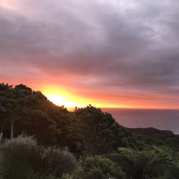 Ein strahlender Sonnenuntergang erhellt den Himmel über einem üppigen grünen Wald, dessen leuchtende Farben sich am ruhigen Meereshorizont unter einem dramatischen, wolkenverhangenen Himmel spiegeln.