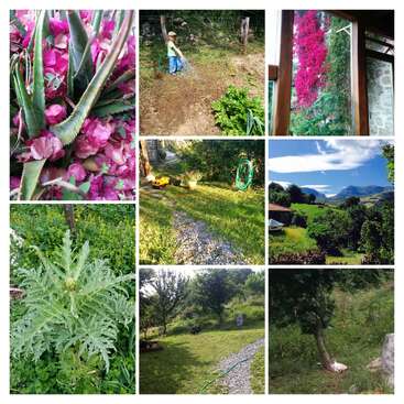 Diese Collage zeigt einen farbenfrohen Garten mit Blumen, Grünzeug, einem Kind, das Pflanzen gießt, Gartengeräten, einer malerischen Aussicht auf die Berge, einem offenen Fenster und friedlichen, sonnenbeschienenen Außenbereichen.