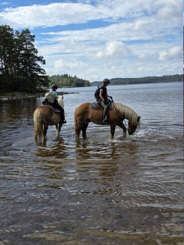 Duas pessoas montadas em cavalos passam por águas rasas perto da margem de um lago florestado, sob um céu azul com nuvens dispersas, desfrutando de uma pacífica aventura ao ar livre.