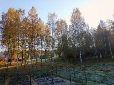 Une scène automnale sereine, avec de grands arbres aux feuilles dorées, un champ brumeux, un petit potager et des granges rouges nichées à l'arrière-plan.