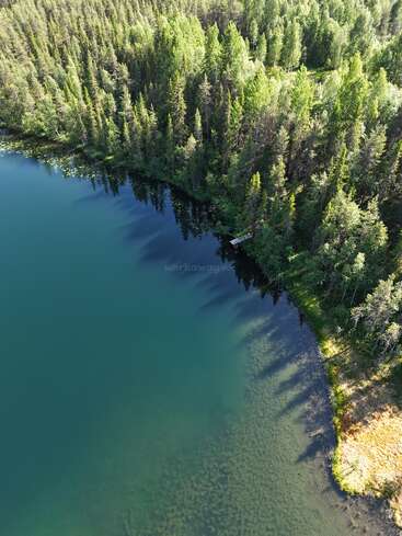 A serene aerial view of a lush green forest bordering a calm, clear lake. Tall trees cast long shadows over the water’s edge, creating tranquility.