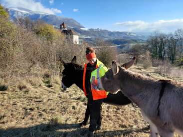 Une personne vêtue d'une veste orange vif et d'un bandeau se tient dans un champ avec deux ânes. Des montagnes enneigées et une maison sont visibles en arrière-plan.