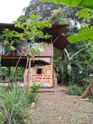 The image depicts a two-story wooden house with a balcony, surrounded by lush greenery and trees, featuring a dirt path leading to the entrance.