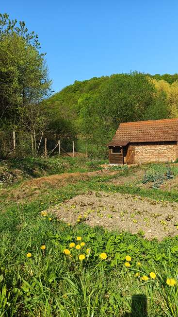 A rustic brick shed with a tiled roof sits beside a lush green garden, yellow dandelions blooming in the grass, surrounded by trees under a clear blue sky.