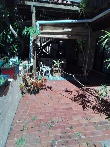 Un patio soleado con suelo de ladrillo rojo, plantas dispersas, sillas de exterior, una pérgola de madera, árboles en macetas, persianas de bambú y sombras que crean interesantes patrones en el suelo.