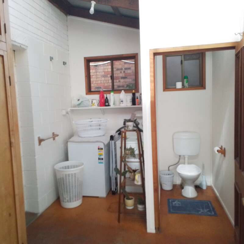 Cette image montre une buanderie et une salle de bain combinées avec des toilettes, une machine à laver, un panier à linge, des étagères avec des produits d'entretien, des plantes et de petites fenêtres.