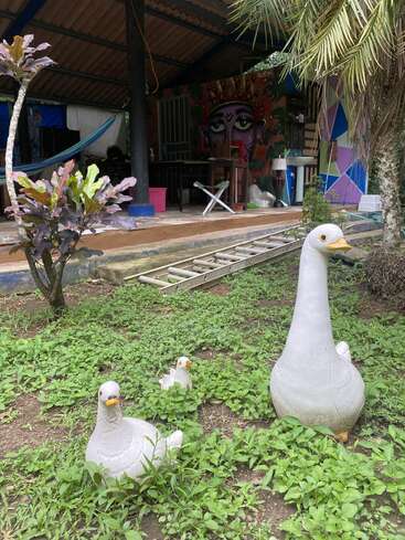 Três estátuas de patos brancos estão na grama verde perto de um pátio com arte mural colorida, palmeiras, rede, móveis espalhados e uma escada de metal no chão.