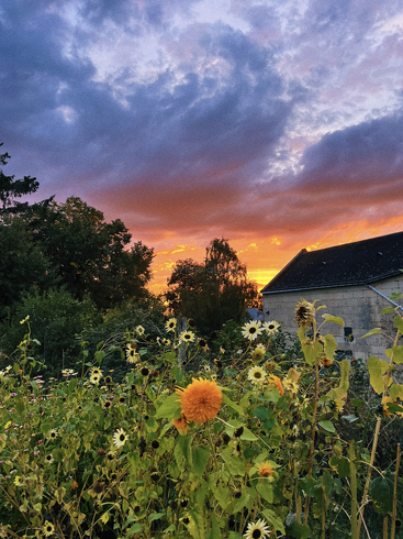 Una vibrante puesta de sol ilumina el cielo con tonos naranjas, morados y azules sobre un jardín silvestre de girasoles, árboles y una rústica casa de piedra. Una tarde tranquila.