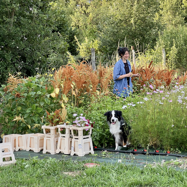 A woman stands in a lush garden surrounded by flowers and greenery. A black and white dog sits nearby. Several small plastic stools are visible.