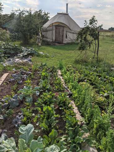 Fileiras de vegetais exuberantes crescem em um jardim próspero. Uma iurta redonda aparece ao fundo, cercada por grama, árvores e uma paisagem rural tranquila.