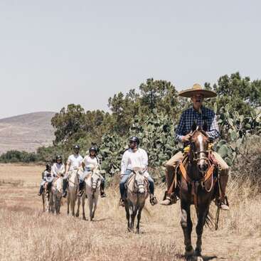 Un grupo de personas a caballo atraviesa un paisaje seco y cubierto de hierba. El líder de delante lleva un gran sombrero, con cactus y árboles detrás de ellos.