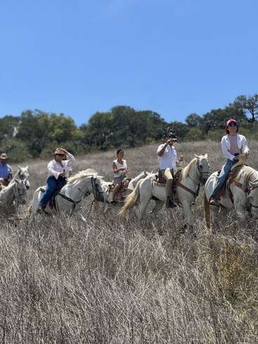 Five people are horseback riding through a dry grassy field under a clear blue sky, enjoying nature and the outdoors, surrounded by trees and sunshine.