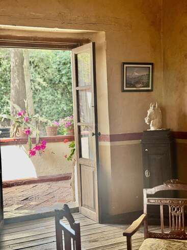Sunlight streams into a rustic room through an open door, revealing wooden furniture, a horse bust, framed art, and blooming pink flowers outside on the patio.