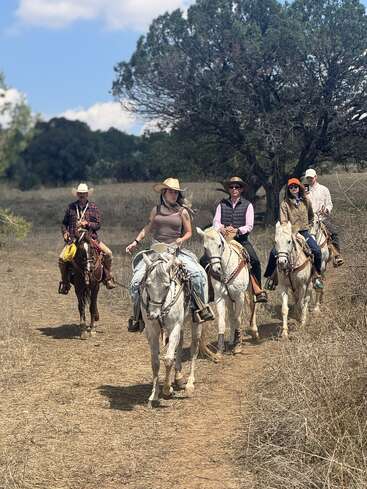 Five people on horseback ride along a dry, grassy trail. They wear western-style hats and casual clothing, surrounded by trees under a bright blue sky.