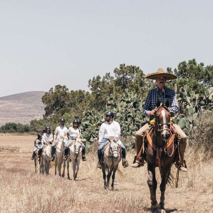 Un grupo de personas a caballo atraviesa un paisaje seco y cubierto de hierba. El líder de delante lleva un gran sombrero, con cactus y árboles detrás de ellos.