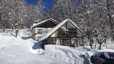 A cozy house nestled in a snowy forest, surrounded by tall trees blanketed with snow. Sunlight shines on fresh snowdrifts, creating a peaceful winter scene.