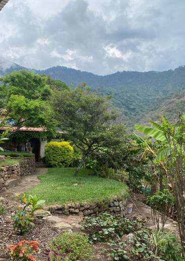 A lush garden with green trees, plants, and stone pathways sits before misty, forested mountains under a cloudy sky, creating a tranquil, natural atmosphere.