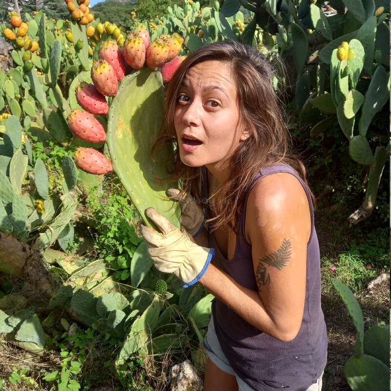 A woman stands in a prickly pear cactus field, wearing gloves and holding a large cactus leaf with red fruit, surrounded by more cacti.