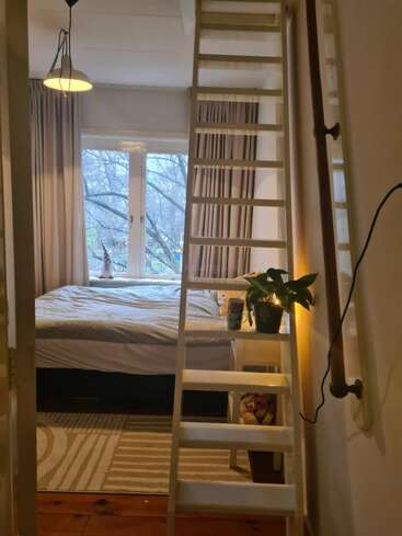 A cozy bedroom features a large window with curtains, a bed beneath it, a ladder, two potted plants, soft lighting, and a striped rug.