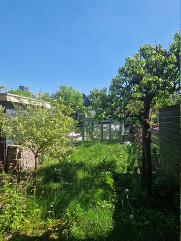 A lush, green garden with tall grass, trees, and flowering plants under a clear blue sky. A greenhouse stands in the background, bathed in sunlight.