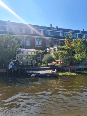 A sunny waterfront home with lush greenery, a cozy seating area, a greenhouse, and two dogs relaxing on the dock beside calm, rippling water.