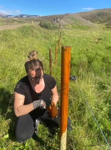 A woman is painting a wooden fence post in a grassy field with rolling hills and mountains in the background on a sunny day.