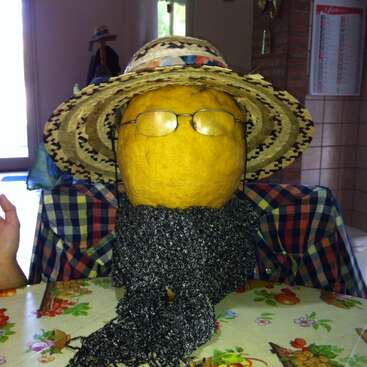 Um grande melão amarelo está vestido como uma pessoa, com chapéu de palha, óculos, um lenço e uma camisa xadrez, sentado à mesa.