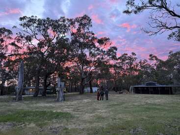 Three people stand on grassy land surrounded by tall trees and rustic buildings. The sunset sky glows beautifully with shades of pink, purple, and blue. Peaceful atmosphere.