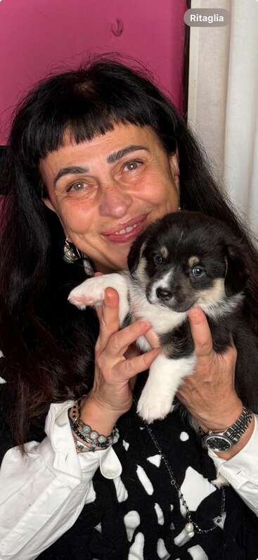 Uma mulher sorridente com cabelos escuros segura um adorável filhote de cachorro preto e branco. O plano de fundo é rosa, e o vínculo estreito entre eles é visível e comovente.